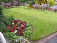 Back garden lawn surrounded by flower beds