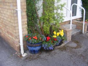 Plant pots by a front door