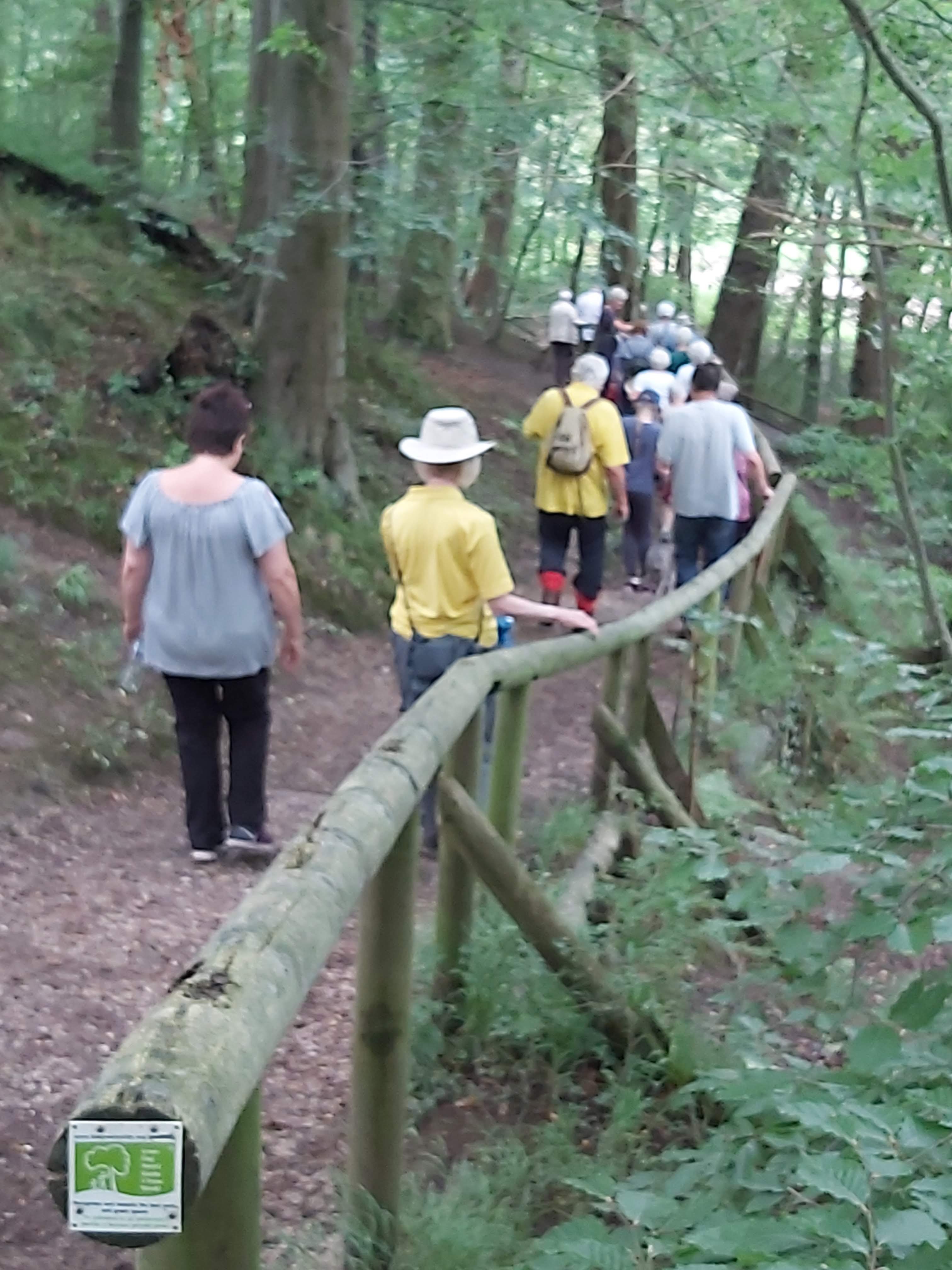 People walking through a forest